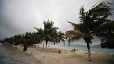 México: ministro de Turismo propone legalizar marihuana en zonas turísticas