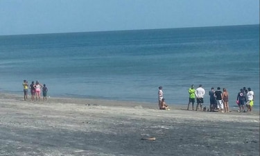 Sinaproc ordena desalojar playa Gorgona debido a 'múltiples' casos de picadas de agentes marinos