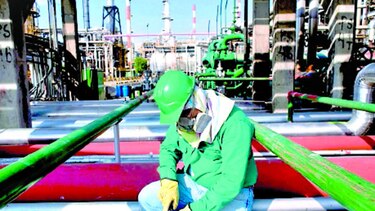 Producción de crudo cae 80%