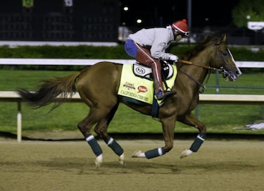 ‘California Chrome’, el gran favorito en el derby de Kentucky