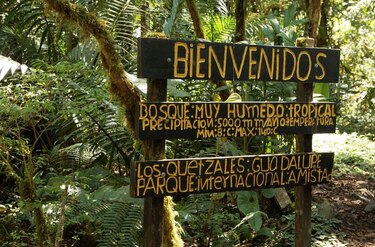 Unesco evaluará estado del parque La Amistad