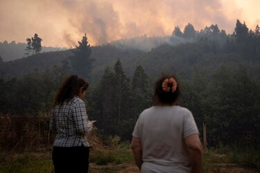 Suben a 20 las víctimas de los incendios del sur de Chile y detienen a un sospechoso de provocarlos