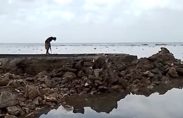 Ordenan demolición de piscina ilegal construida sobre arrecifes de coral en Portobelo, tras años de polémica