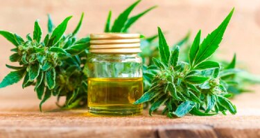 La 'diosa verde', una pizza con aceite de cannabis