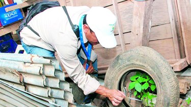 Potenciales criaderos de mosquitos en barrios chitreanos