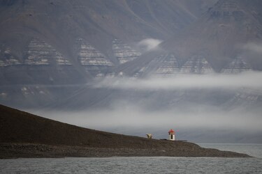 Cada vez peor: las duras conclusiones del informe del clima de la ONU