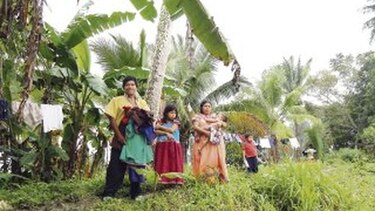 Invaden área verde en San José de Las Lomas