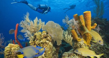Belice declara moratoria petrolera para resguardar arrecife de coral