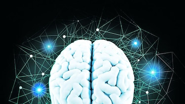 5 mitos sobre el cerebro (II parte)