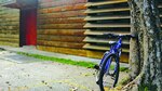 Gamboa en bici