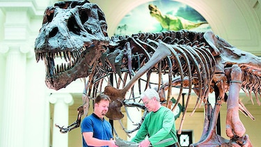 Cambio de imagen en muestra de dinosaurios