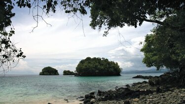 Consejo Directivo de Coiba y autoridades evalúan  área protegida