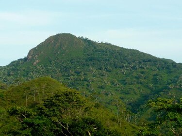 Solicitan protección de refugios de vida silvestre en Azuero