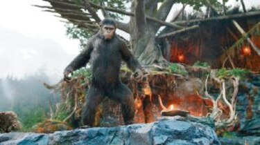 Películas que se toman las taquillas