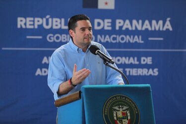 Vicepresidente Carrizo viajará junto a la Canciller a República Dominicana