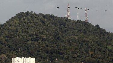 MEF confirma que el 9 de enero ondeará bandera en el cerro Ancón
