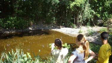 Tomas de agua en Macaracas están secas