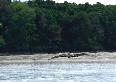 En marcha, consulta pública que busca declarar Matusagaratí sitio Ramsar 