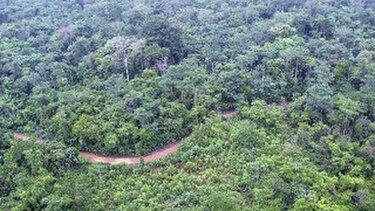 Proyecto de ley busca reducir límites de área de cacería