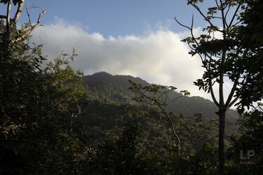 Topógrafos y abogados, en la lista de imputados por ventas de tierras en Darién