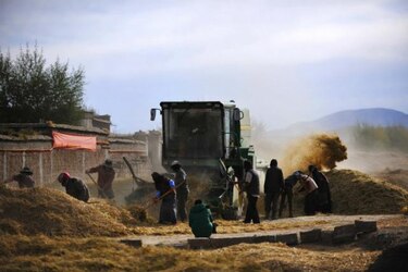China acelera reformas de propiedad de la tierra para su urbanización