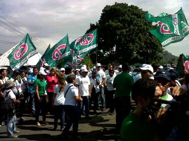 Analistas tildan de 'osadas' cifras de participación que CD espera en urnas