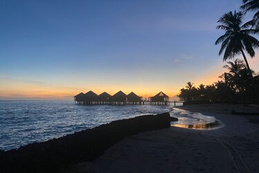 Unesco: ‘Las lagunas’ en el estudio del carbono oceánico comprometen la lucha climática