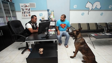 Estudio indica que perro doméstico podría tener dos orígenes