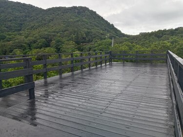 Parque Nacional Altos de Campana sigue cerrado temporalmente al público por mal tiempo