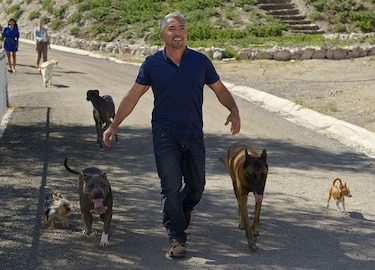 Demandan a César Millán, el 'encantador de perros', por ataque de pitbull