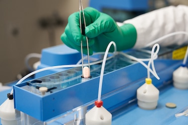 Regulador europeo aprueba píldora anticovid de laboratorio Pfizer