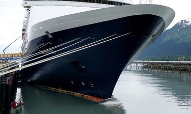 Encuentran a ballena muerta en proa de barco en Alaska