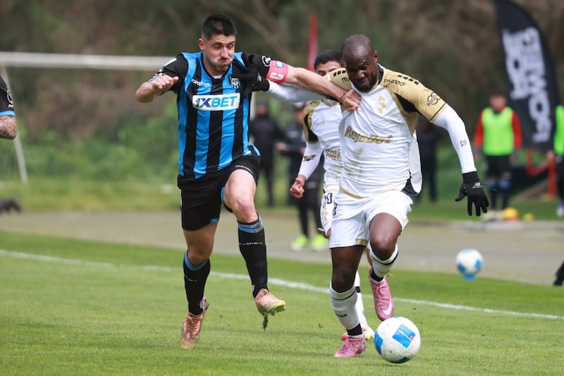 Cecilio Waterman regresa a la Universidad de Concepción