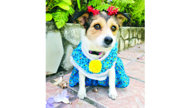 Consentidos: Nikita