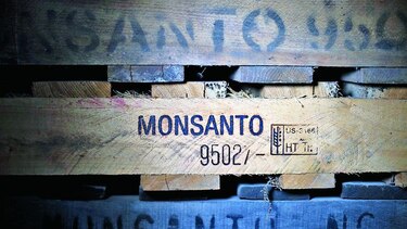 Sudámerica impulsó ventas de Monsanto