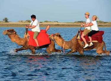 Turismo en Djerba