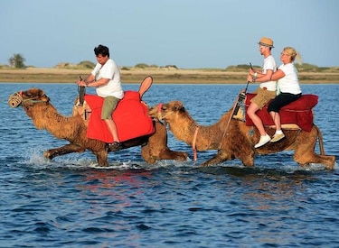 Turismo en Djerba