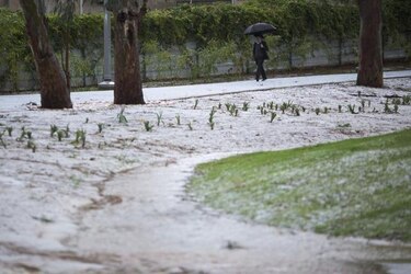 Fuerte tormenta de nieve azota Israel y territorios palestinos