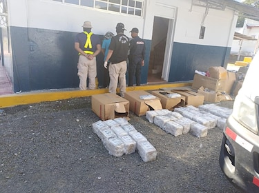 Decomisan 122 paquetes de sustancia ilícita en Divisa