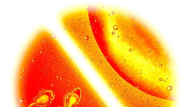 Espermatozoides humanos in vitro