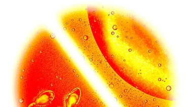 Espermatozoides humanos in vitro