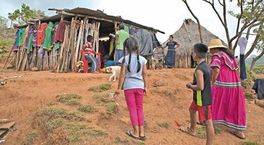 Ante cifras obsoletas, preparan encuesta sobre nutrición de panameños