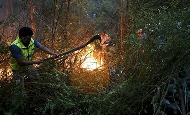 Más de 9 mil personas combaten los devastadores incendios en Chile
