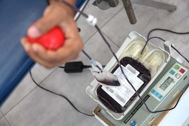 Sin discriminación: anteproyecto de ley busca permitir a homosexuales donar sangre