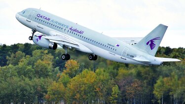 Aviones llevan vacas a Catar