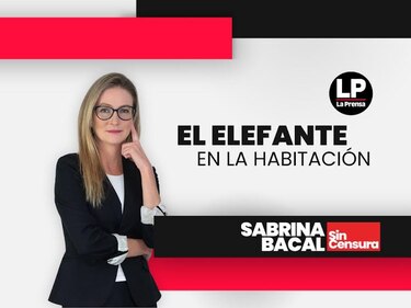 El Elefante en la Habitación: Mulino, Martinelli y la Reforma a la Caja de Seguro Social