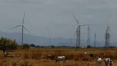 Confían en oferta energética