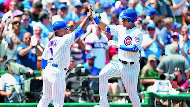 Cuidado con los Cachorros