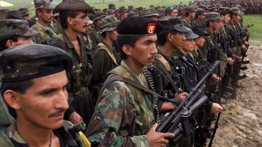 Recuperan en Colombia terreno más grande que Bogotá de manos de las FARC