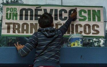 ONGs exigen al Gobierno mexicano el fin de la siembra de transgénicos